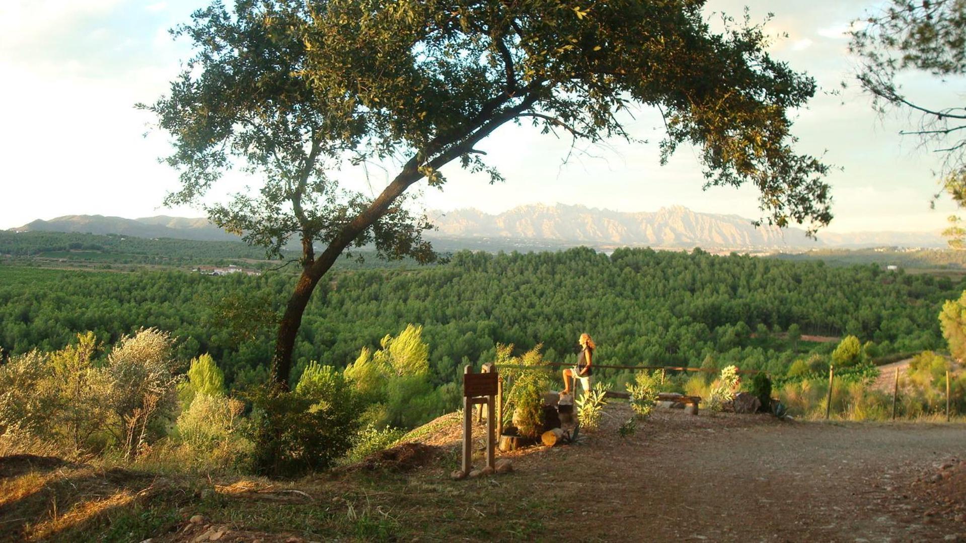Comarquinal Bioresort Penedes San Quintín de Mediona Dış mekan fotoğraf